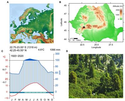 Contrasting Climate Sensitivity of Pinus cembra Tree-Ring Traits in the Carpathians